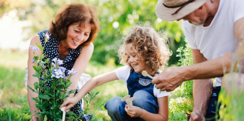 This image: stock image of an older couple and their grandchild
					 doing some gardening.
					 The map: the map shows an artist's sketch of how the landscaped open 
					 space may look, overlaid with interactive markers detailing more information
					 about the proposed landscaping and some illustrative photos of various 
					 landscaping design aspects.